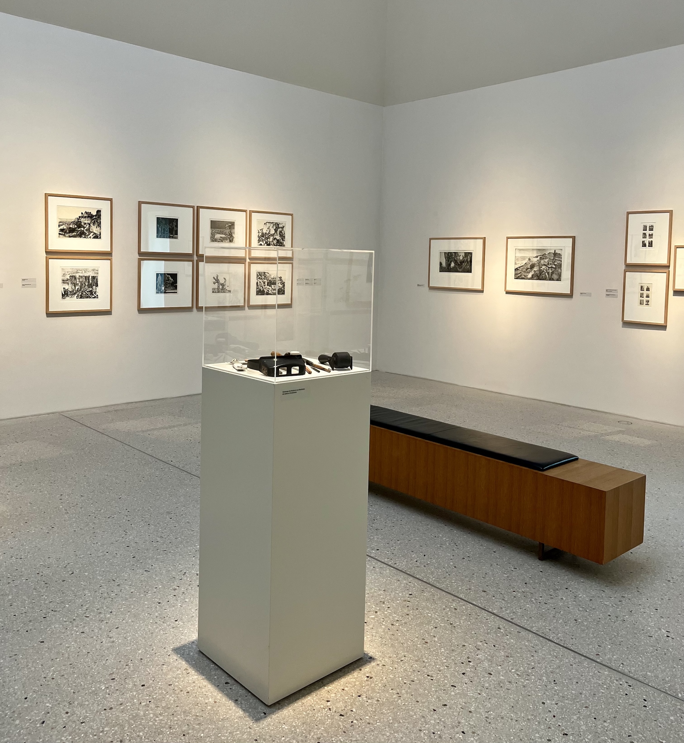 Gerenot Richter im Kunstmuseum Ahrenshoop